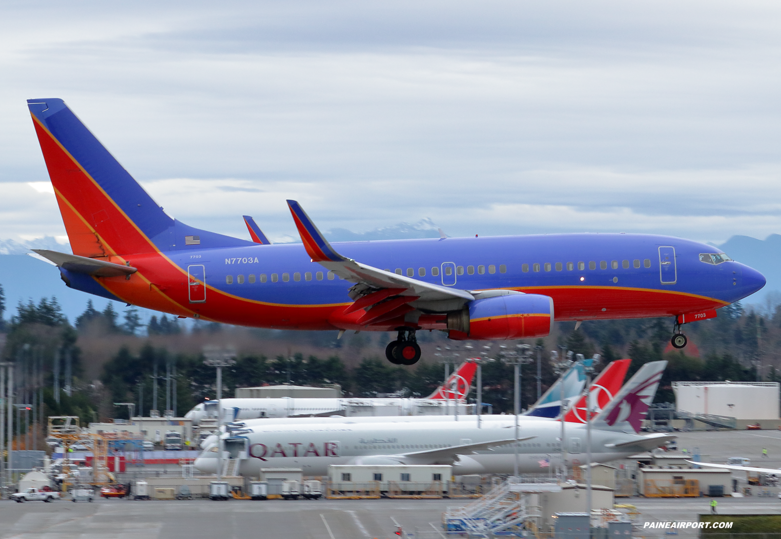 Southwest Airlines 737 N7703A at Paine Field 