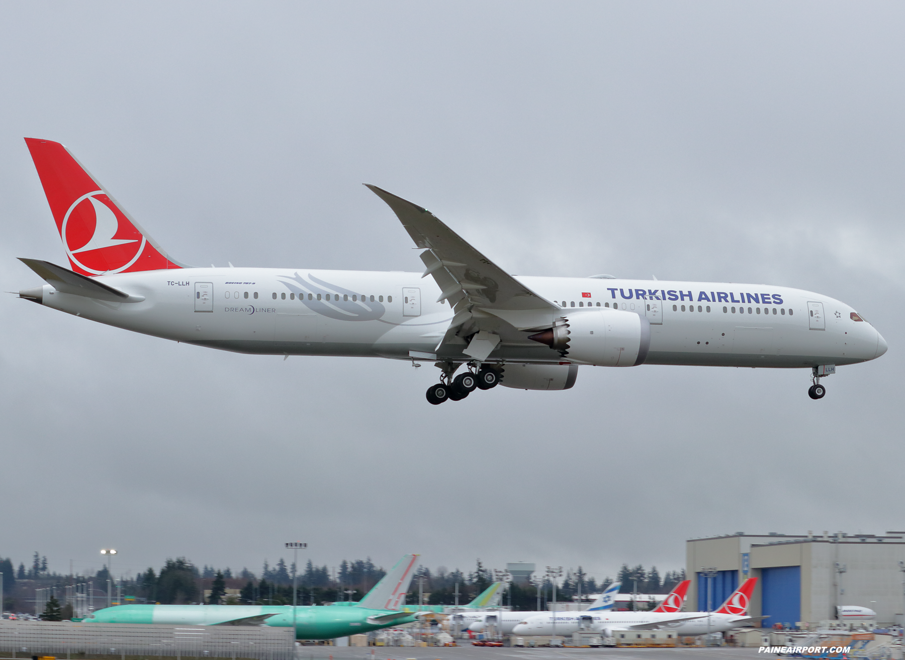 Turkish Airlines 787-9 TC-LLH at Paine Field 
