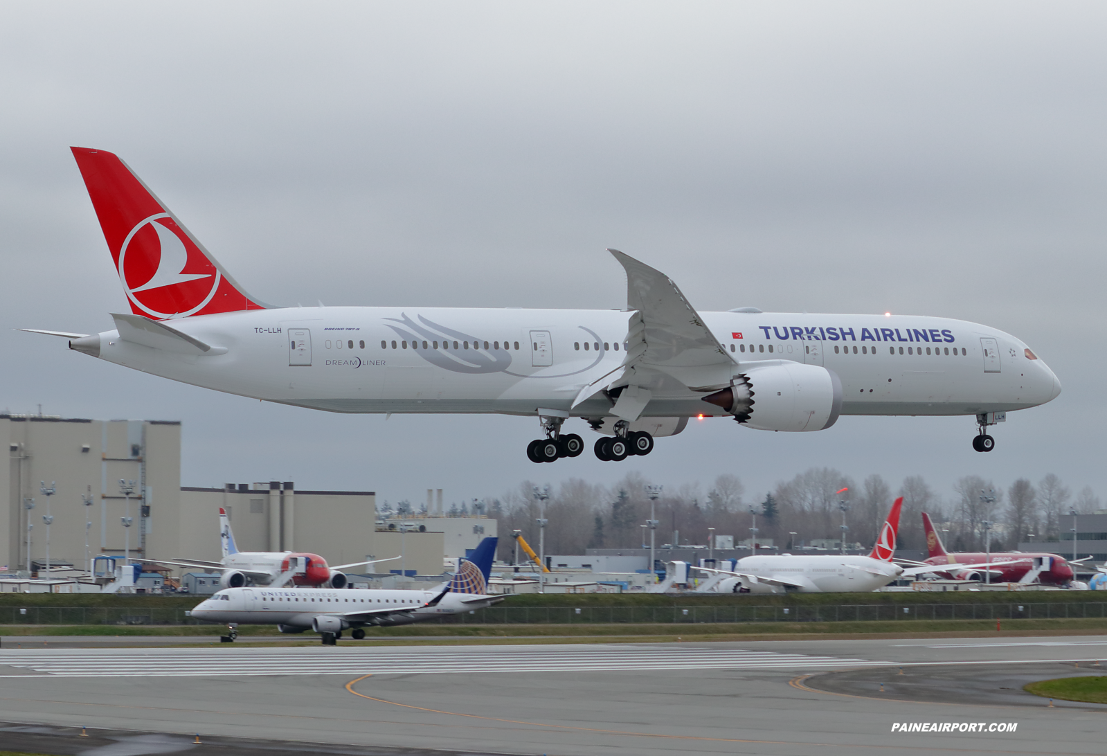 Turkish Airlines 787-9 TC-LLH at Paine Field