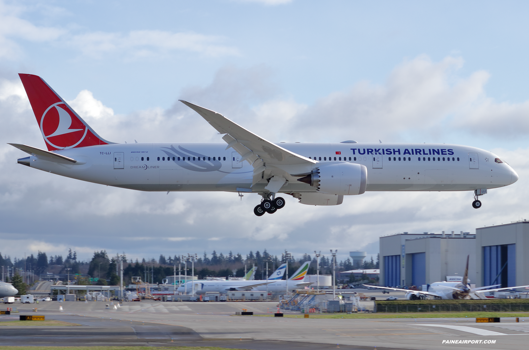 Turkish Airlines 787-9 TC-LLI at Paine Field