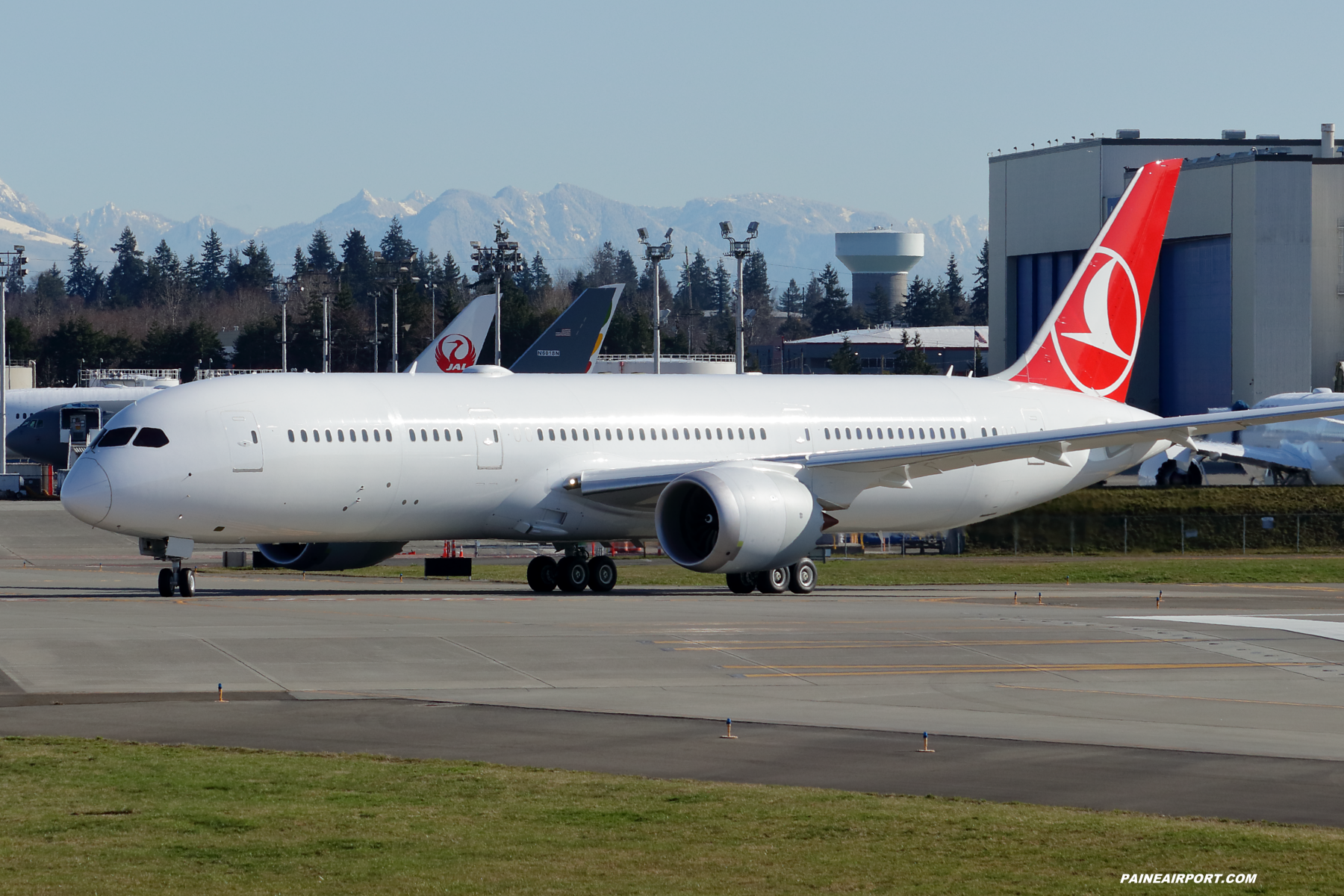 Turkish Airlines 787-9 at Paine Field