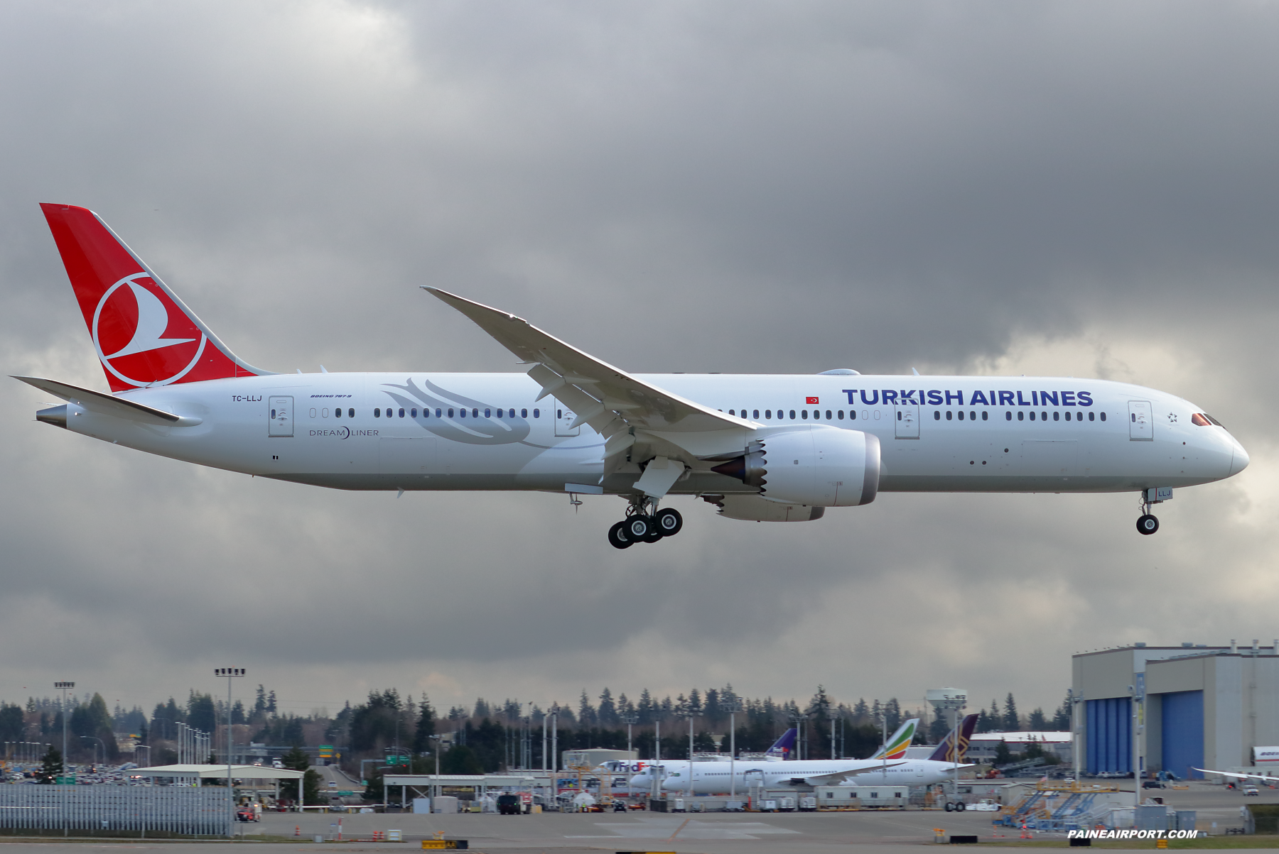 Turkish Airlines 787-9 TC-LLC at Paine Field