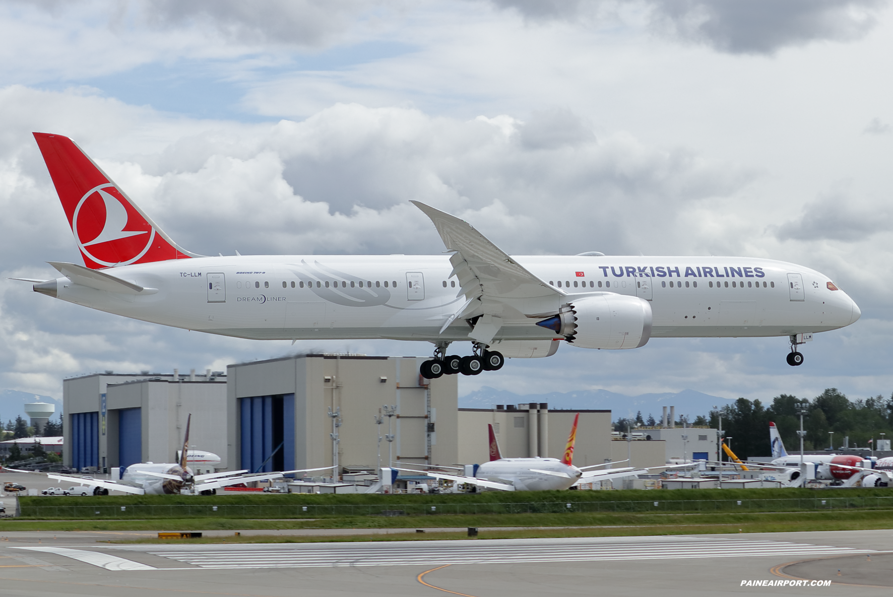 Turkish Airlines 787-9 TC-LLM at Paine Field