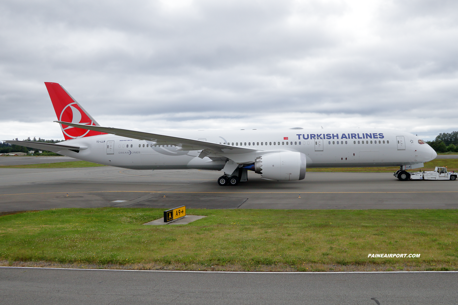 Turkish Airlines 787-9 TC-LLM at KPAE Paine Field