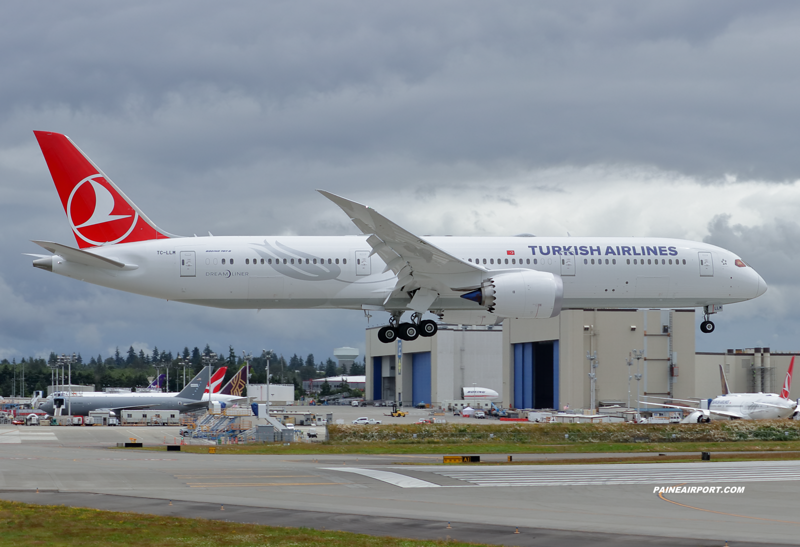 Turkish Airlines 787-9 TC-LLM at KPAE Paine