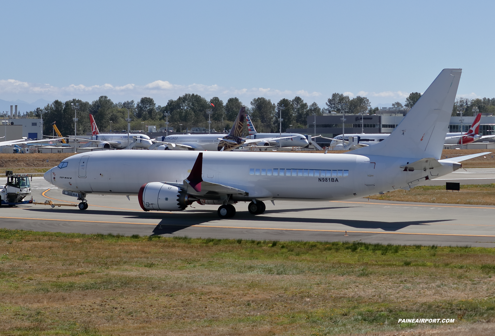 N981BA at KPAE Paine Field