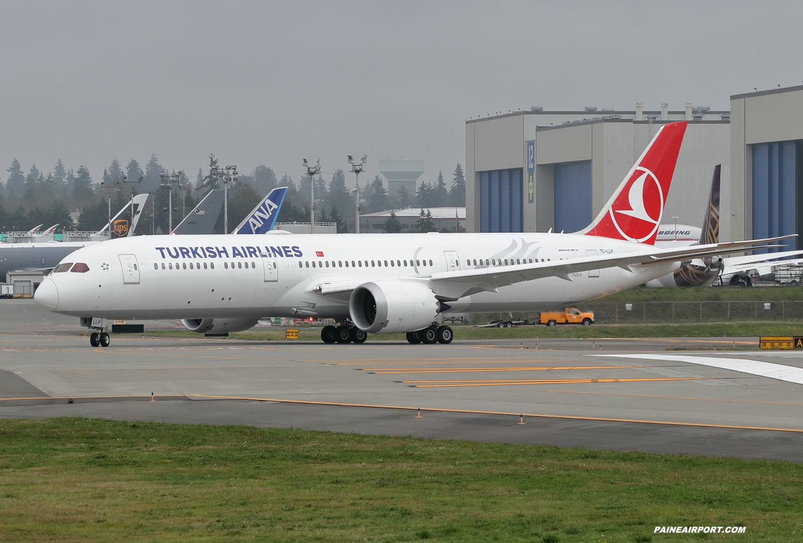 Turkish Airlines 787-9 TC-LLP at KPAE Paine Field