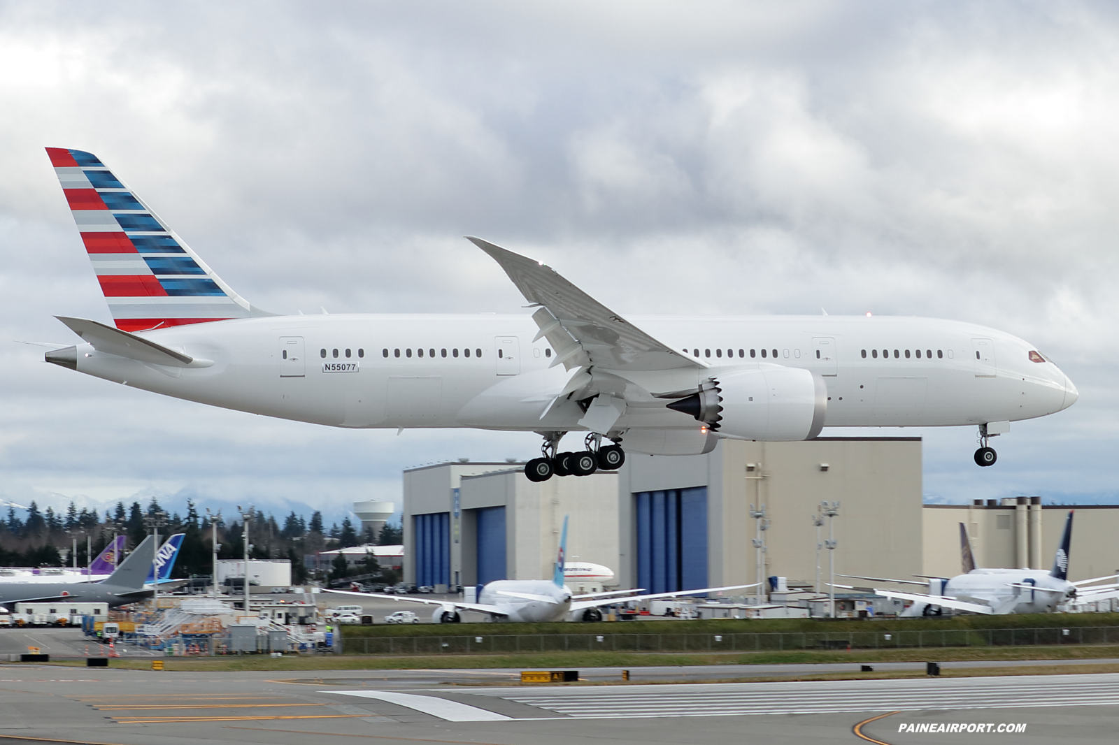 American Airlines 787-8 at KPAE Paine Field