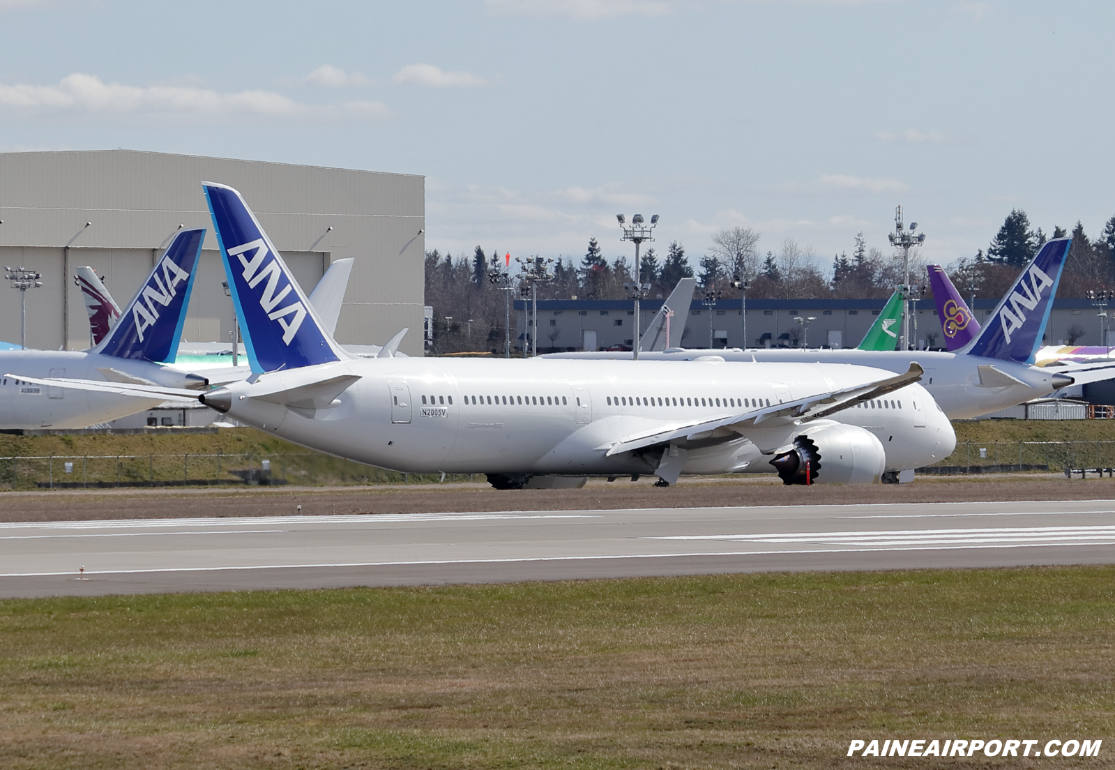ANA 787-9 line 1095 at KPAE Paine Field