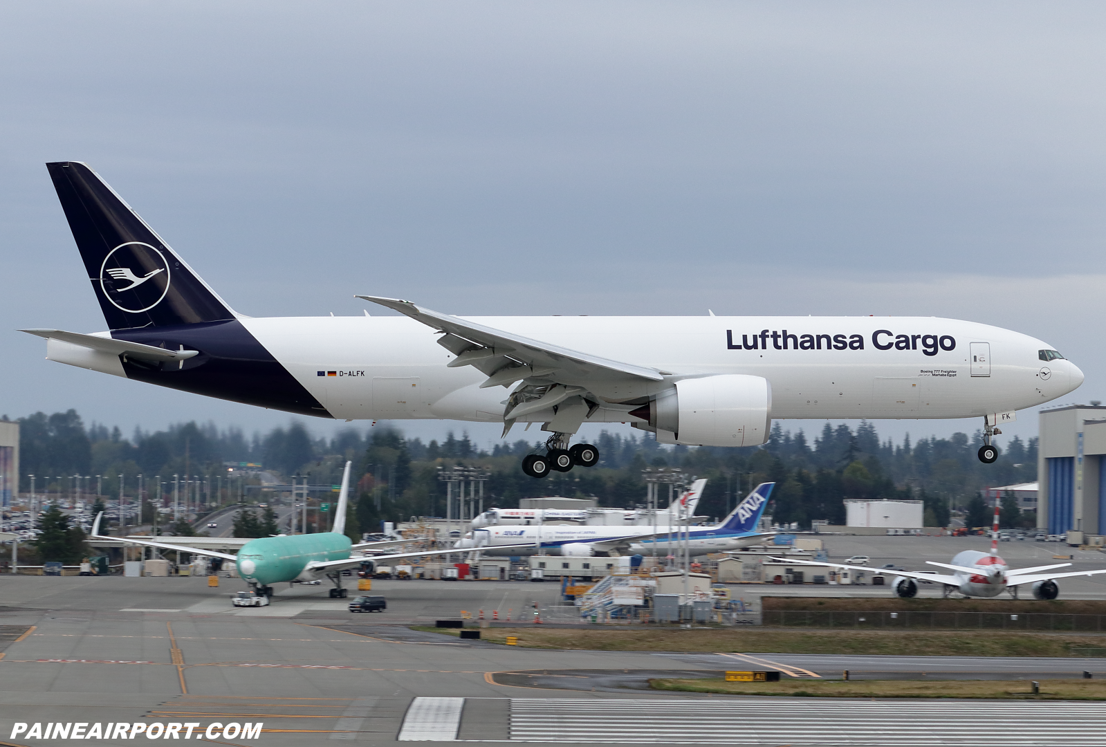 Lufthansa Cargo 777F D-ALFK at KPAE